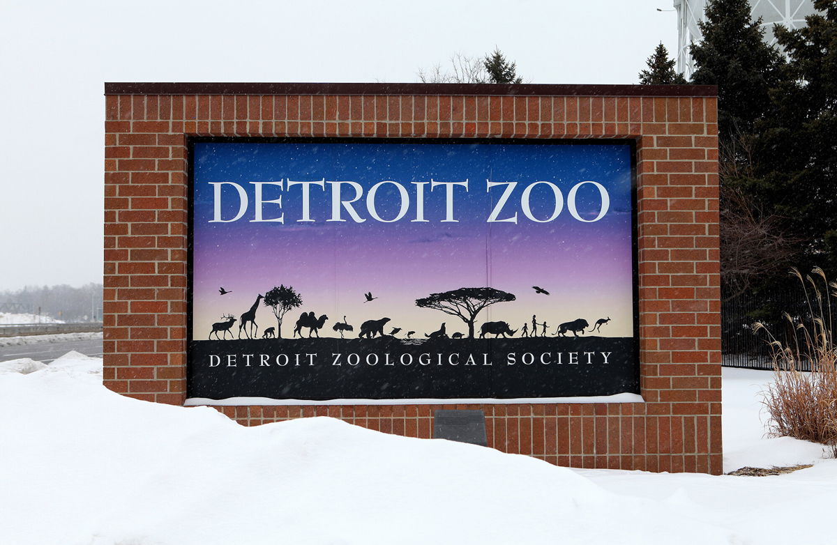<i>Raymond Boyd/Michael Ochs Archives/Getty Images</i><br/>The Detroit Zoo is moving birds inside as a proactive measure against bird flu.