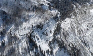 An avalanche released when a snowshoeing group of four people with two dogs traveled along the road on the left side of the gully on Friday