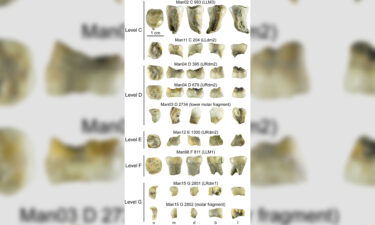 The bumps and groves are a bit like fingerprints for archaeologists