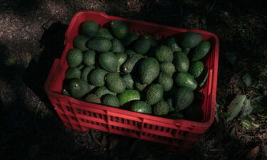 The United States has suspended avocado imports from Mexico's western state of Michoacan after a US official received a threat.