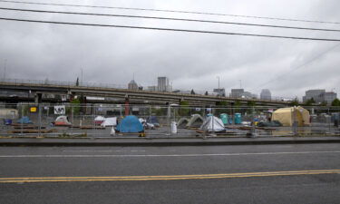 Portland mayor bans homeless encampments near highways over pedestrian deaths. Pictured is a homeless camp in southeast Portland on April 22