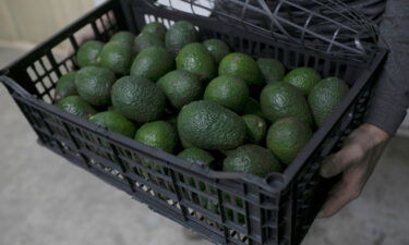 The suspension of avocado imports from Mexico came after a US safety inspector received a credible death threat