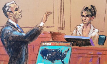 Sarah Palin is questioned by NY Times lawyer David Axelrod during her defamation lawsuit trial against the New York Times