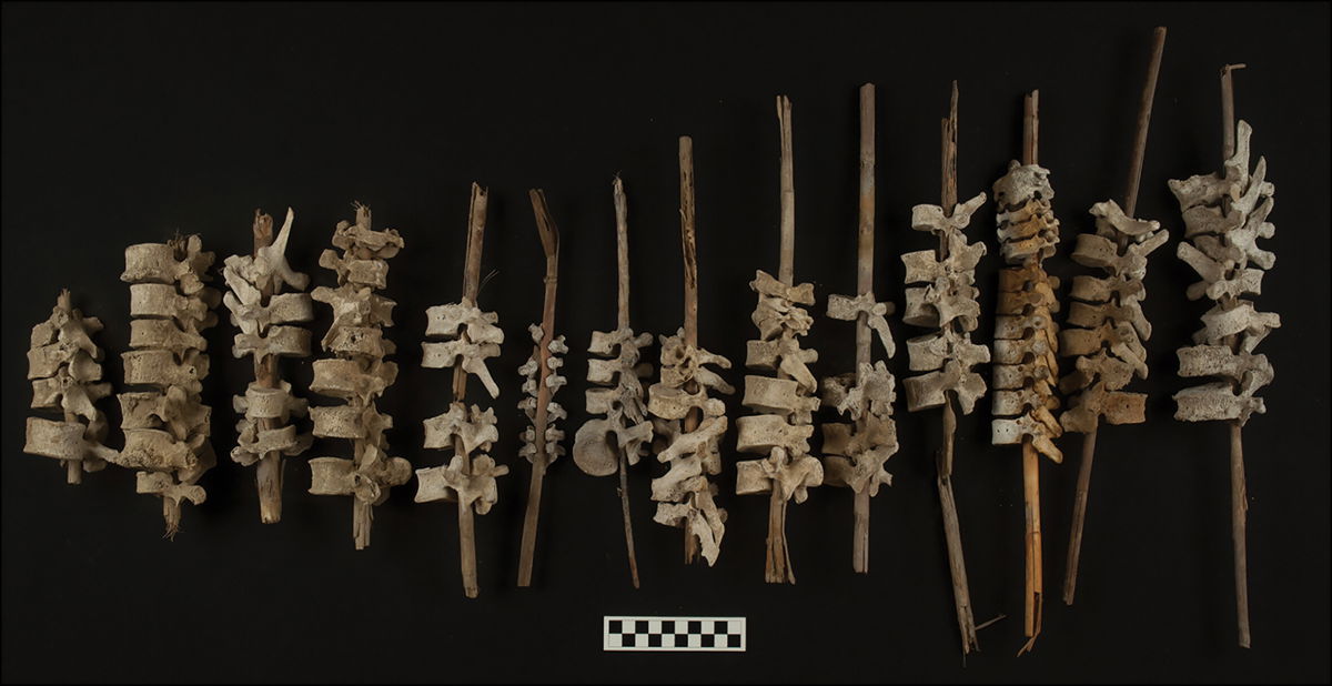 <i>C. O'Shea/Antiquity Publications Ltd.</i><br/>Examples of human vertebrae on posts