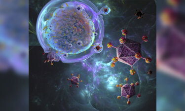 CAR-T cell therapy is a process being developed to treat cancer.