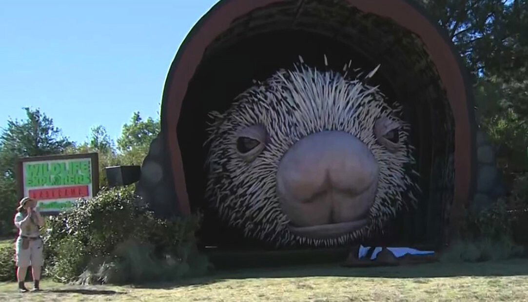 <i>KCAL/KCBS</i><br/>A giant porcupine was let loose on Griffith Park Tuesday
