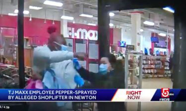 Police are sharing surveillance video that shows a T.J. Maxx employee in Massachusetts getting pepper-sprayed by a shoplifter.