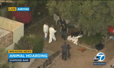 Hundreds of animals - both dead and alive - were found inside a Diamond Bar home Tuesday