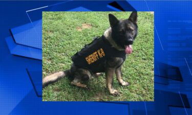 A Humphreys County K-9 officer died in the car of an officer after a fire started in the vehicle.