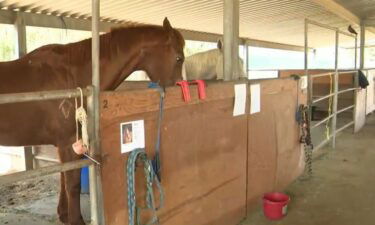 Thieves Steal Horseback Riding Equipment Used For Children