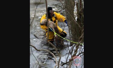 The Duxbury Fire Department rescued a dog named Tuukka after he fell through the ice into frigid water on Saturday.