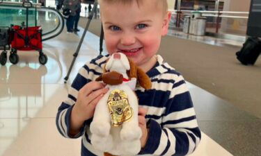 3-year-old Colorado boy is reunited with his stuffed puppy lost in Wisconsin.