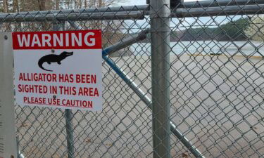 A warning sign that an alligator has been seen in the B.T. Brown Reservoir.