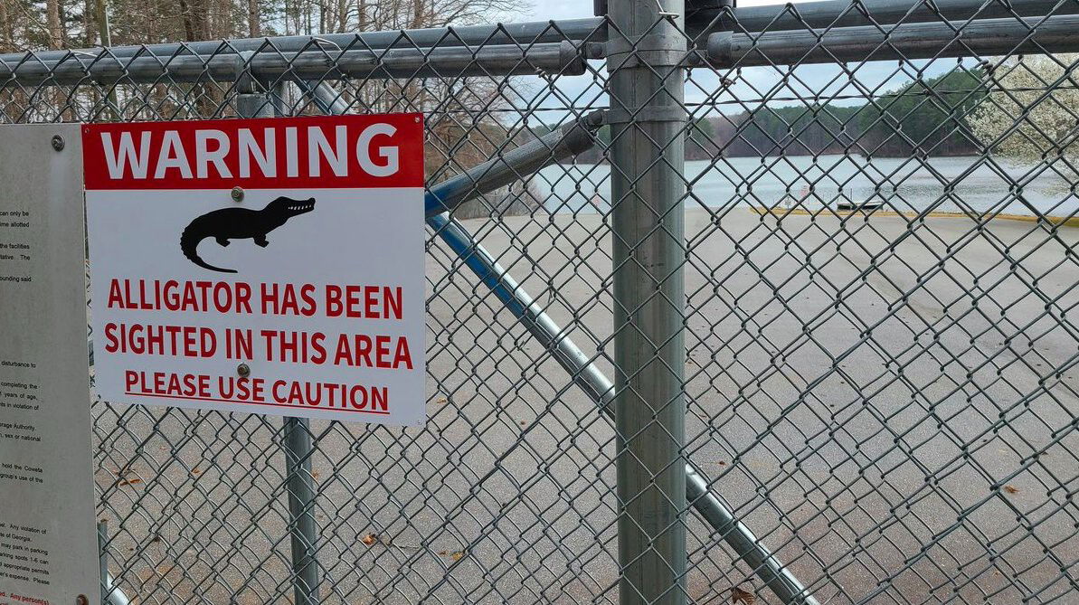 <i>@Jamie_S_Kennedy/WGCL</i><br/>A warning sign that an alligator has been seen in the B.T. Brown Reservoir.