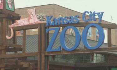 File photo of the Kansas City Zoo (2020)