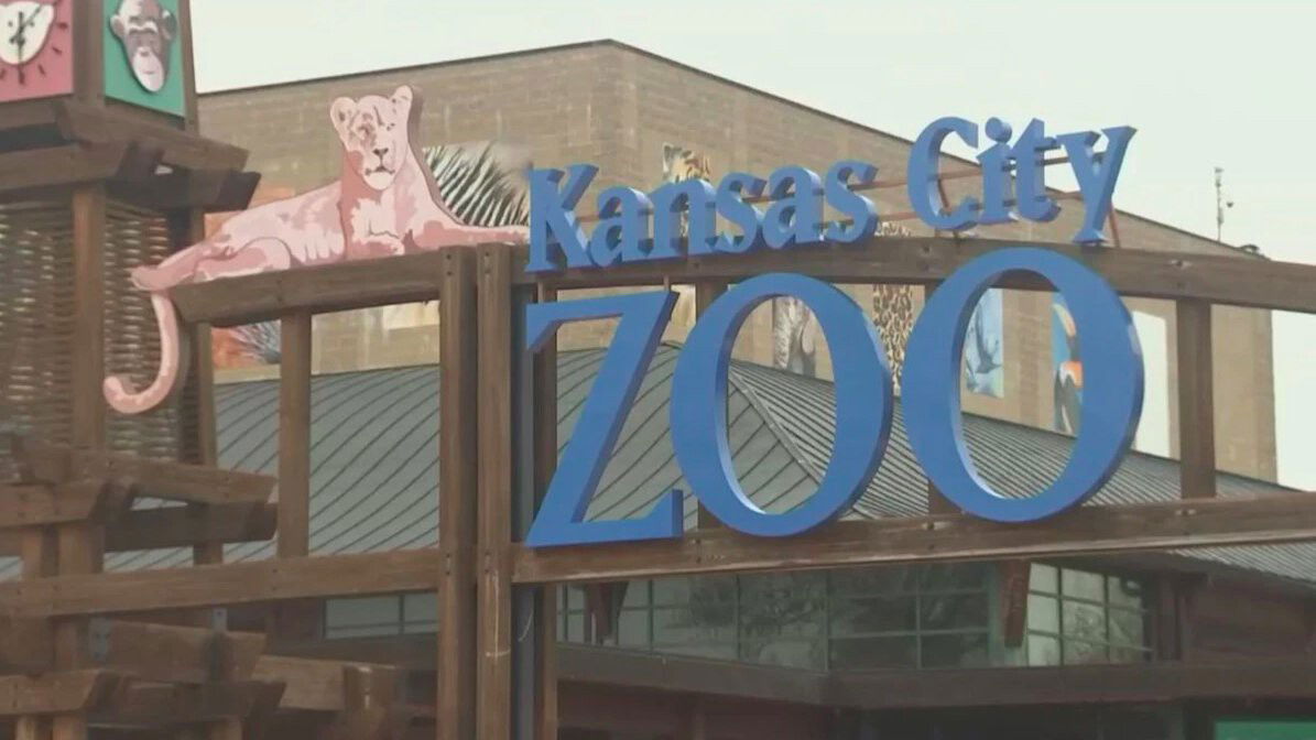 <i>KCTV</i><br/>File photo of the Kansas City Zoo (2020)