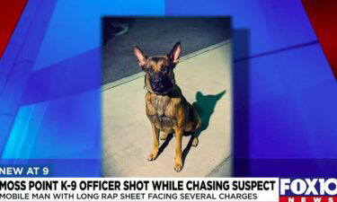 Officer Buddy was rushed to a local clinic in very serious condition