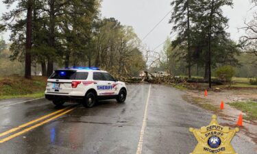 A tree is blocking Highway 117 in Bellwood in Natchitoches Parish.