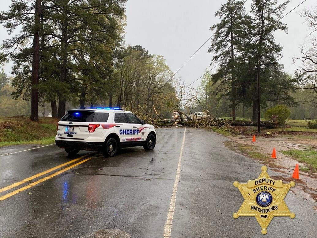 <i>Natchitoches Parish Sheriff's Office/KTBS</i><br/>A tree is blocking Highway 117 in Bellwood in Natchitoches Parish.