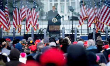 Then-President Donald Trump speaks to supporters from The Ellipse near the White House on January 6