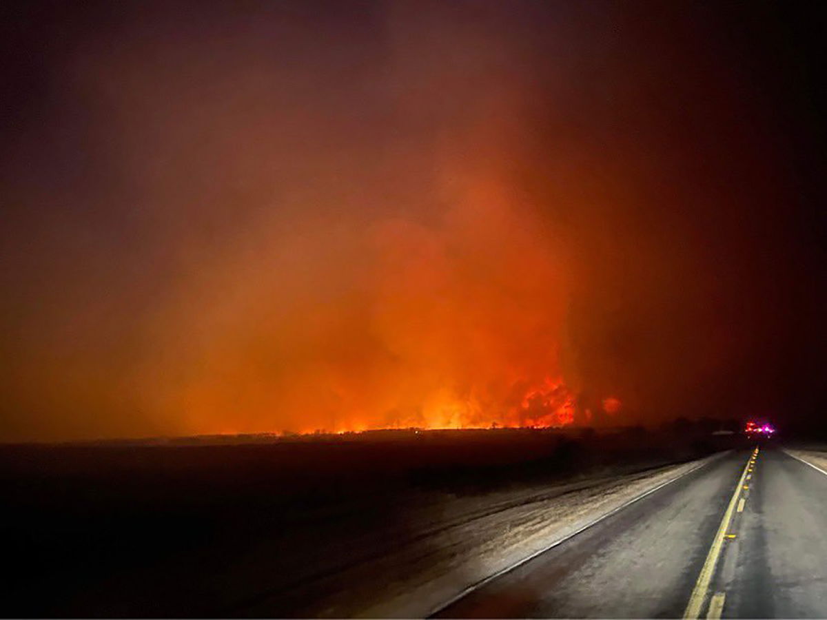 <i>Texas A&M Forest Service</i><br/>