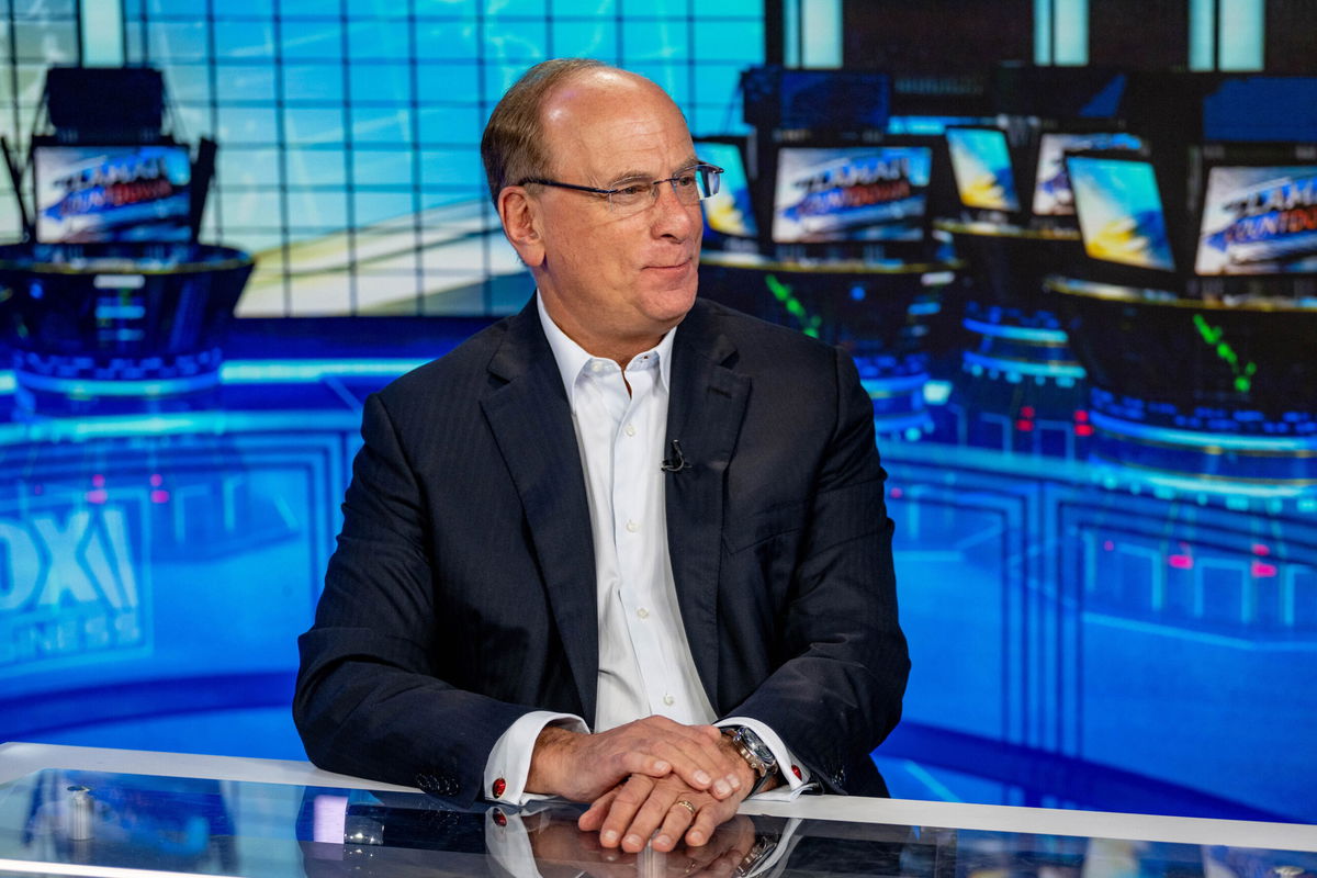 <i>Roy Rochlin/Getty Images</i><br/>BlackRock CEO Larry Fink