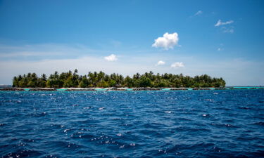 The waters of the Maldives are home to a hundreds of species of fish.