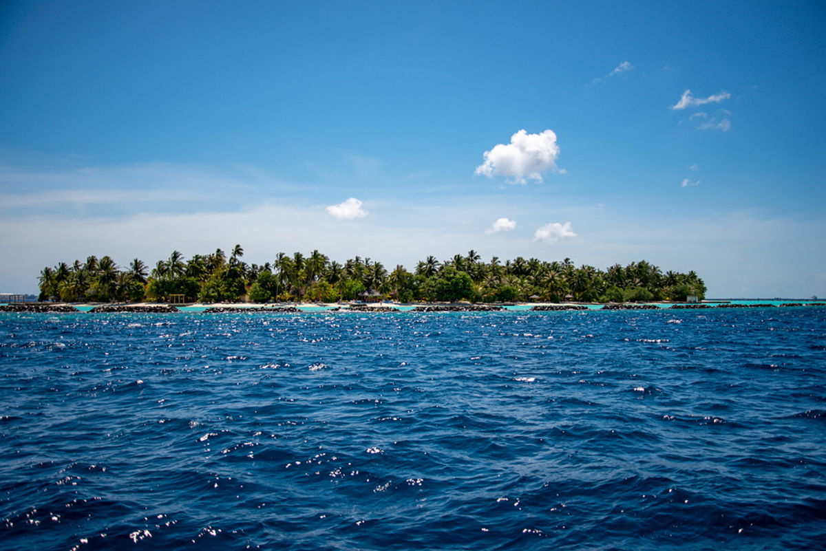 <i>Claudia Rocha © California Academy of Sciences</i><br/>The waters of the Maldives are home to a hundreds of species of fish.