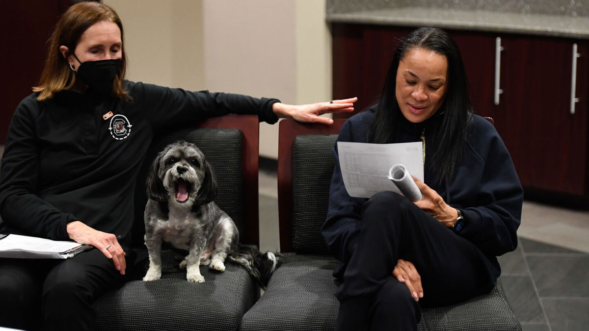 <i>Gerry Melendez/NCAA Photos via Getty Images</i><br/>Staley relaxes in the locker room after defeating the Miami Hurricanes during the second round of the 2022 NCAA Women's Basketball Tournament.