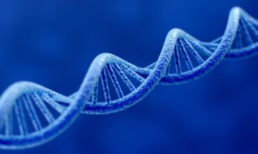 A team of nearly 100 scientists from the Telomere-to-Telomere (T2T) Consortium has unveiled the complete human genome -- the first time it's been sequenced in its entirety