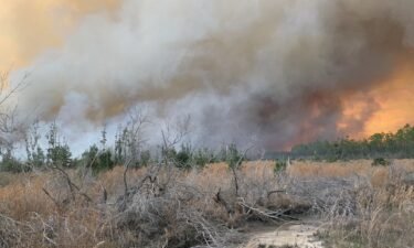 The Bertha Swamp Road Fire in the Florida Panhandle has swelled to move than 28