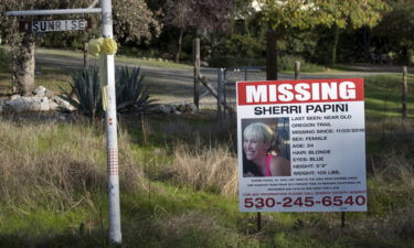 The November 2016 disappearance of Sherri Papini led to a massive search for her whereabouts in California.