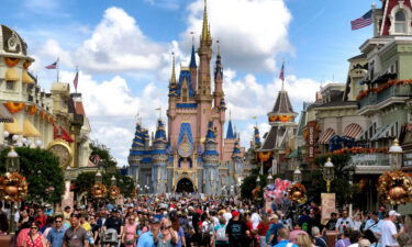 Disney said it regrets a performance at its Orlando theme park by a high school cheerleading squad after it received backlash for the routine's depictions of Native Americans.