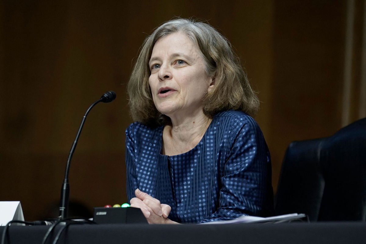 <i>KEN CEDENO/POOL/AFP via Getty Images</i><br/>Sarah Bloom Raskin's stance on environmental issues