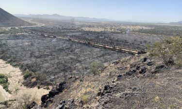 Rapidly moving wildfire in Arizona has destroyed dozens of structures and forced hundreds to evacuate.