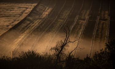 Southern California businesses and residents are asked to reduce outdoor watering due to drought conditions. Freezing morning temperatures trigger the overhead sprinkler frost protection systems in this vineyard on April 15