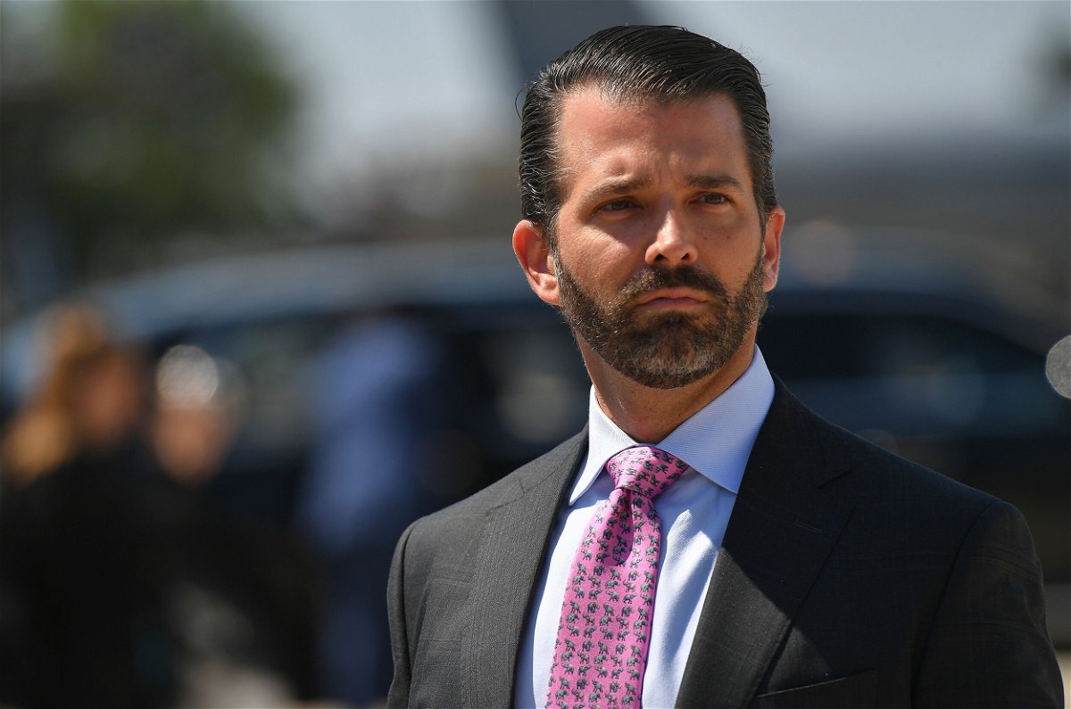 <i>Mandel Ngan/AFP/Getty Images</i><br/>Donald Trump Jr. lays out ideas for keeping his father in power