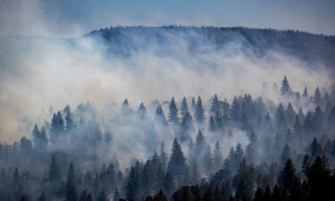 The McBride Fire ravaged hilltops above Ruidoso on April 13