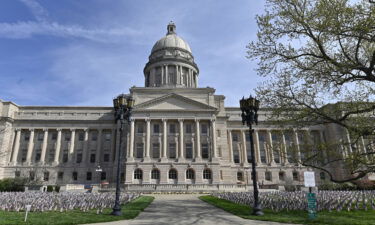 Kentucky Democratic Gov. Andy Beshear vetoed a sweeping abortion bill Friday that would have banned most abortions after 15 weeks of pregnancy.