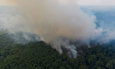 Smoke rises from a fire in the Amazon rainforest in Ruropolis