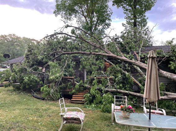 <i>WLOS</i><br/>Thousands of Western North Carolina residents were left without electricity Friday afternoon after strong storms moved through the area