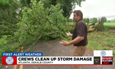 A strong storm knocked over a tree on Alston Drive causing it to block the roadway early Friday morning.