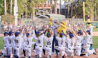 Players salute a baby dressed as a banana (as one does) before a game.