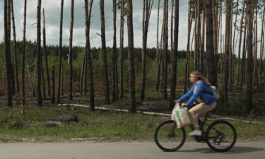 A cyclist passes a damaged section of a forest in Irpin.