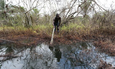 Inhabitants of Nigeria's Niger Delta