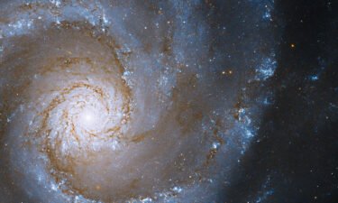 This image from NASA's Hubble Space Telescope features the Grand Design Spiral