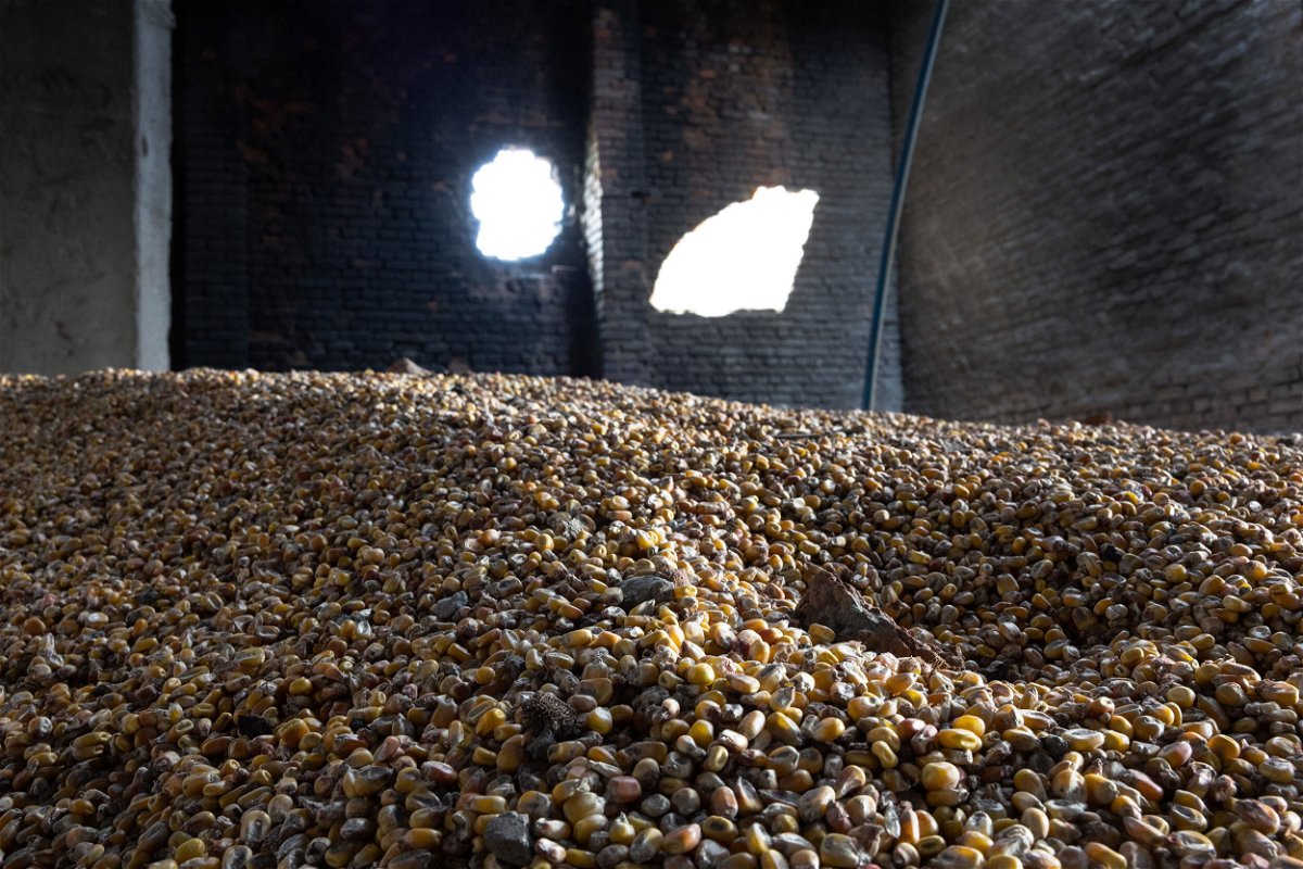 <i>John Moore/Getty Images</i><br/>Corn lies scattered in a grain warehouse damaged by Russian tanks on May 14 in Cherkska Lozova