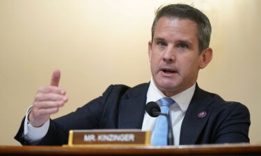 Rep. Adam Kinzinger pictured here on July 27