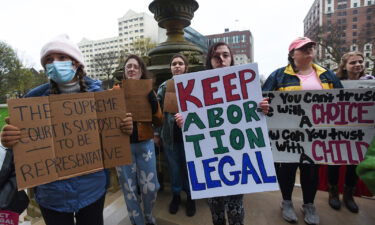 People rally at the state capitol in Lansing