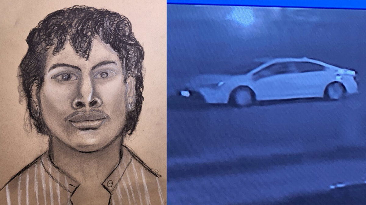 <i>KTRK</i><br/>Baytown police released a sketch Tuesday of a man who they said met a teenager online before luring the victim into his car and sexually assaulting the teen.